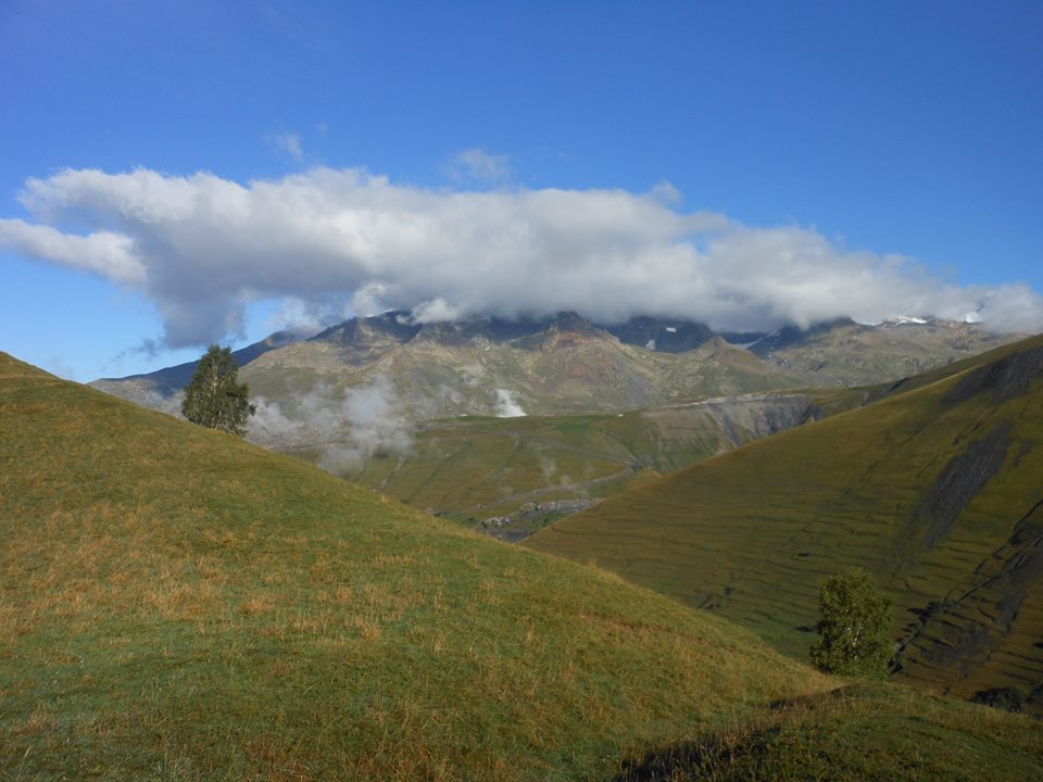 1185306_627258573972728_150733885_n